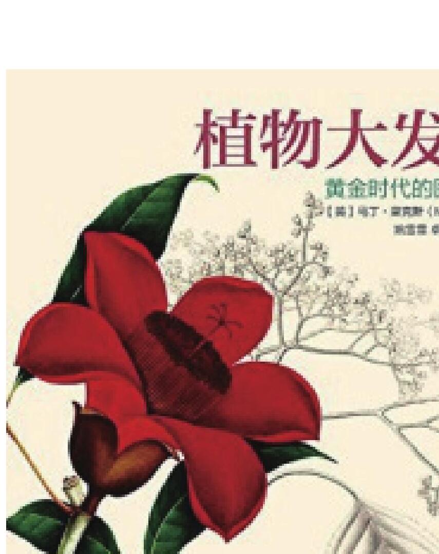 植物大发现