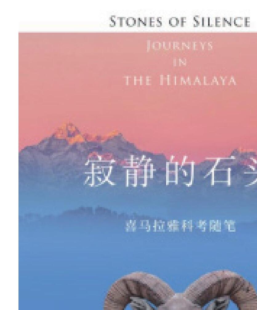 寂静的石头
